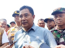 Pj Gubernur Sulsel Ingin Sawah Bukan Cuma Diisi Padi, Bisa Jadi Tambak Ikan