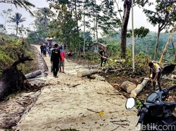 Hujan Disertai Angin Kencang, Pohon Tumbang Timpa Rumah di Sukabumi