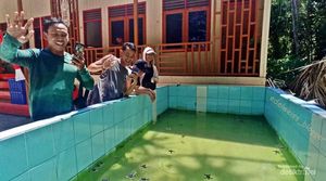 Membelai Tukik di Sangalaki, Imutnya!