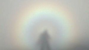 Bukan Hasil Photoshop, Deretan Foto Membingungkan Ini 100% Asli