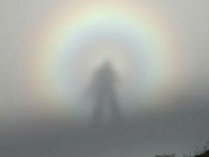 Bukan Hasil Photoshop, Deretan Foto Membingungkan Ini 100% Asli