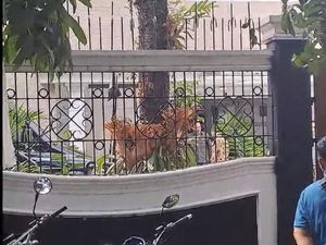 Diusulkan Jadi Cawapres Prabowo, Gibran Sambangi Kediaman AHY di Jaksel