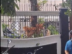 Diusulkan Jadi Cawapres Prabowo, Gibran Sambangi Kediaman AHY di Jaksel