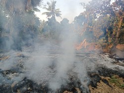 Gegara Api Dupa, Gudang Kayu di Buleleng Ludes Terbakar