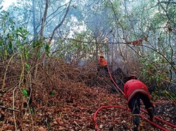 200 Hektare Lahan Produktif di Karangasem Hangus Terbakar