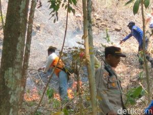3 Hektare Hutan Bukit Tunggangan Trenggalek Terbakar