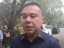 Ketua Harian Gerindra Bicara soal Pertemuan Waketum NasDem dan Prabowo