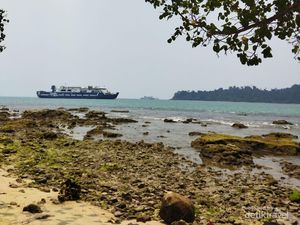 Pesona Pulau Merak Kecil, Destinasi Snorkeling dan Santai Dekat Jakarta Pesona Pulau Merak Kecil, Destinasi Snorkeling dan Santai Dekat Jakarta