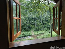 Yuk ke Kawisari Lodge Blitar, Menikmati Adem dan Damai di Tengah Kebun Kopi
