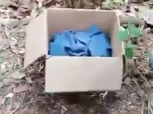 Mayat Bayi Perempuan Masih Ada Ari-ari Dibuang di Tepi Jalan Raya Pasuruan