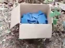 Mayat Bayi Perempuan Masih Ada Ari-ari Dibuang di Tepi Jalan Raya Pasuruan