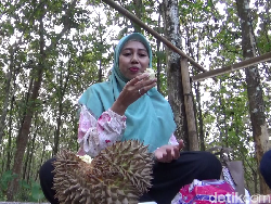 Creamy dan Manis Legit Durian Mentega Khas Lereng Gunung Semeru