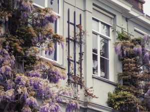 Tips Mudah Bersihkan Jendela Bagian Luar, Dijamin Anti Ribet!