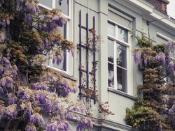 Tips Mudah Bersihkan Jendela Bagian Luar, Dijamin Anti Ribet!