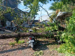 Diterpa Angin Kencang, Pohon Tumbang Timpa Belasan Motor Warga di Medan
