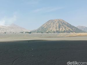 Bromo Kembali Hijau Pulihkan Kunjungan Wisatawan hingga Ekonomi Warga Bromo Kembali Hijau Pulihkan Kunjungan Wisatawan hingga Ekonomi Warga