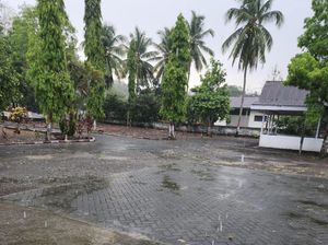 Lamuru Bone Diguyur Hujan, Petani Sambut dengan Bersiap Tanam Jagung