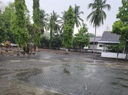 Lamuru Bone Diguyur Hujan, Petani Sambut dengan Bersiap Tanam Jagung