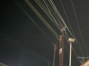 1 Pekerja Jaringan Internet di Sukabumi Tewas Usai Tersengat Listrik 1 Pekerja Jaringan Internet di Sukabumi Tewas Usai Tersengat Listrik