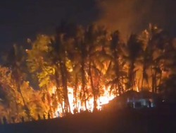 Gegara Puntung Rokok, Kebun Bambu Terbakar-Api Nyaris Menjalar ke Pemukiman