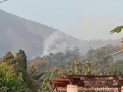Gunung Arjuno Kembali Terbakar