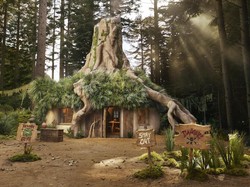 Menginap di Rawa Shrek Saat Halloween, Berani?