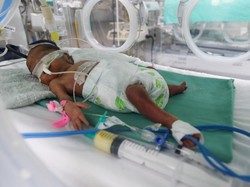 Nasib Bayi-bayi Warga Palestina di RS Al Shifa, Tewas Akibat Kepungan Israel