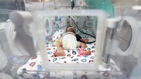 Nyawa Ratusan Bayi Prematur di Gaza Terancam Imbas Serangan Israel