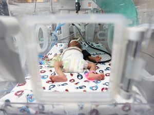 Nyawa Ratusan Bayi Prematur di Gaza Terancam Imbas Serangan Israel