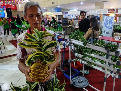 Pameran Tanaman Inovfarm untuk Kenalkan Inovasi Pertanian Modern