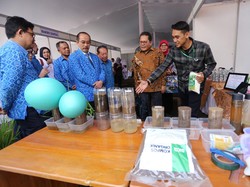 Tugas Penting Perguruan Tinggi Kenalkan Pangan Pengganti Beras