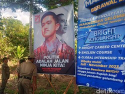 Satpol PP Karangasem Copot Puluhan Baliho, Termasuk Foto Kaesang