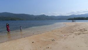Terpesona Indahnya Pasir Putih di Pantai Kandapute