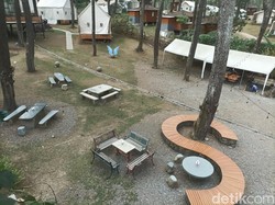 Akhir Pekan Santai di Hutan Pinus Kalaras Checkpoint Lembang