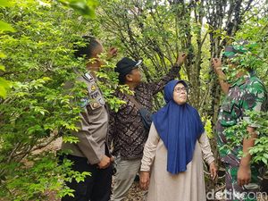 Keren! Lansia di Sukabumi Sukses Budidaya Anggur Brazil Keren! Lansia di Sukabumi Sukses Budidaya Anggur Brazil
