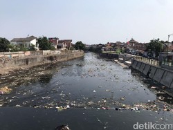 Miris! Pembersihan Sampah Kali Code Jogja, Baru 2 Jam Dapat 4 Ton