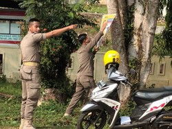 Satpol PP Luwu Timur Copot 21 Baliho Caleg Dipaku di Pohon