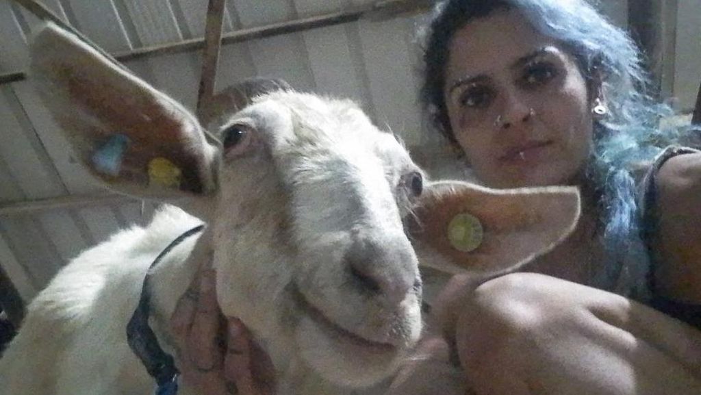 Perempuan Ini Evakuasi Hewan-hewan di Perbatasan Israel-Gaza Perempuan Ini Evakuasi Hewan-hewan di Perbatasan Israel-Gaza
