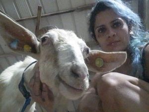 Perempuan Ini Evakuasi Hewan-hewan di Perbatasan Israel-Gaza