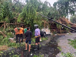 Solo Dilanda Hujan Deras-Angin Kencang, Sejumlah Pohon Roboh