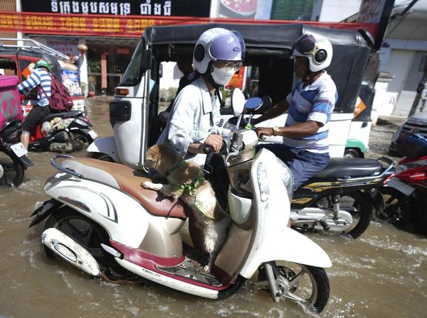 Potret Mobil-Motor Nekat Terobos Banjir di Kamboja
