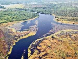 Sungai Tergelap di Dunia Ditemukan, Terbentuk Organik Bukan Tercemar Sungai Tergelap di Dunia Ditemukan, Terbentuk Organik Bukan Tercemar