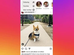 Instagram Uji Coba Feed Khusus untuk Akun Centang Biru