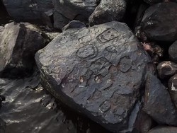 Arkeolog Temukan Ukiran Batu Kuno saat Sungai Amazon Mengering