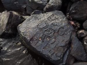 Arkeolog Temukan Ukiran Batu Kuno saat Sungai Amazon Mengering Arkeolog Temukan Ukiran Batu Kuno saat Sungai Amazon Mengering