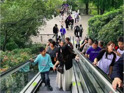 Wow! China Bangun Eskalator di Gunung, Mendaki Tak Lagi Capek