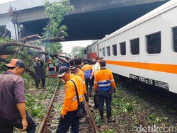 Pohon Tumbang Tutupi Rel Kereta di Cimahi, Perjalanan KA Terganggu