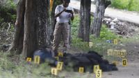 Geger 12 Polisi Meksiko Ditembak Mati Kelompok Bersenjata