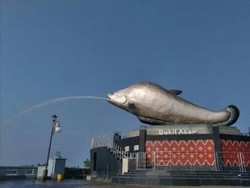 Mengenal Ikan Belida Sumatera, Ikon Sumatera Selatan yang Kini Terancam Punah