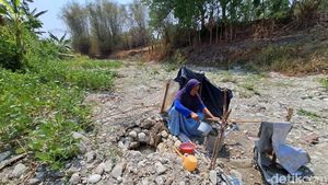 Potret Kekeringan di Jombang Dampak Kemarau Panjang